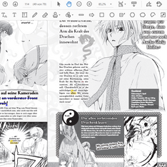 Korrektorat / Lektorat eines Mangas in PDF